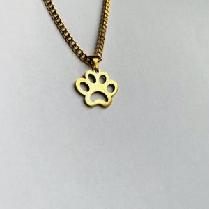 Dog Paw